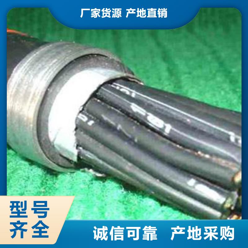 控制電纜信號電纜嚴格把關(guān)質(zhì)量放心
