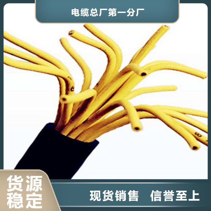 控制電纜信號電纜嚴格把關(guān)質(zhì)量放心