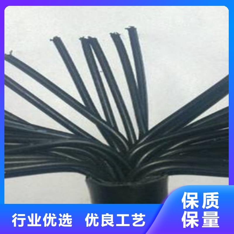 控制電纜屏蔽電纜一個起售