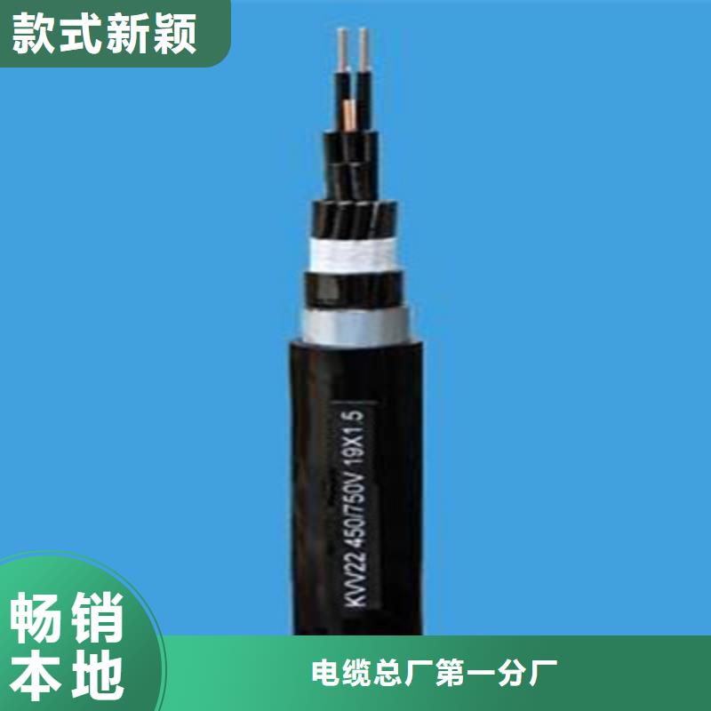 控制電纜電纜生產(chǎn)廠家廠家技術(shù)完善