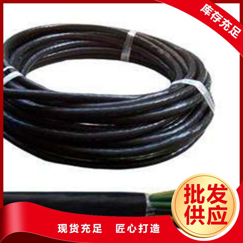 控制電纜屏蔽電纜廠家采購
