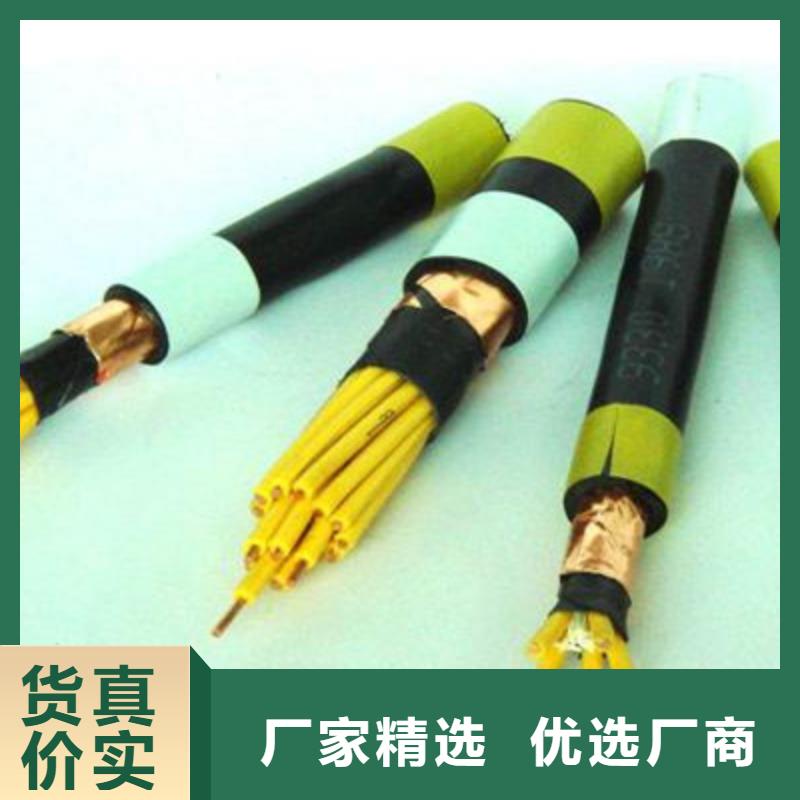 控制電纜電纜生產(chǎn)廠家廠家技術(shù)完善