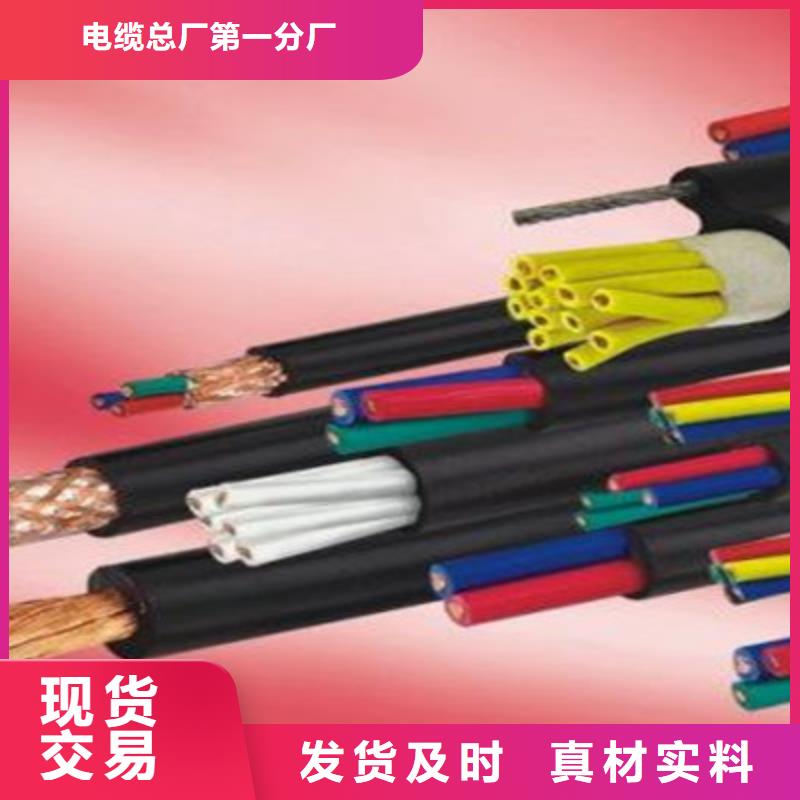 控制電纜【電纜生產(chǎn)廠家】誠信商家