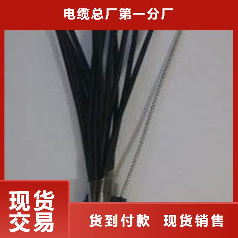 礦用控制電纜,【礦用電纜】支持貨到付清