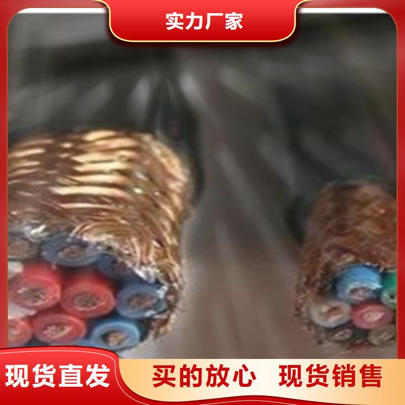 DJFP2VF耐高温计算机电线欢迎电询