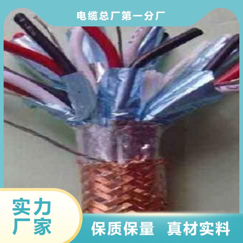 DJFP2VF耐高温计算机电线欢迎电询