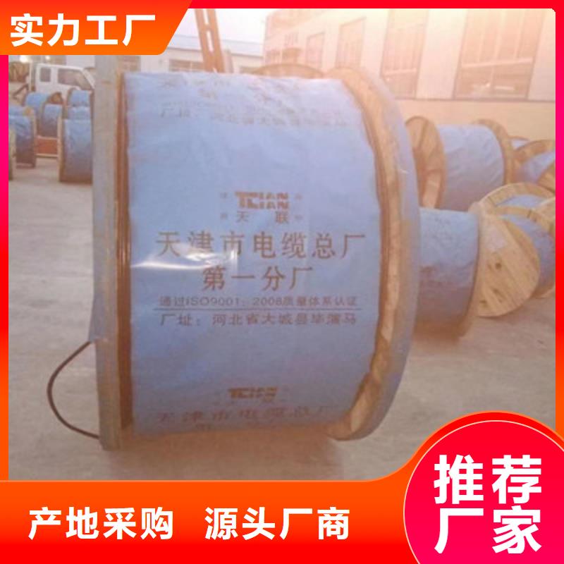 耐高温电缆-电缆生产厂家制造厂家