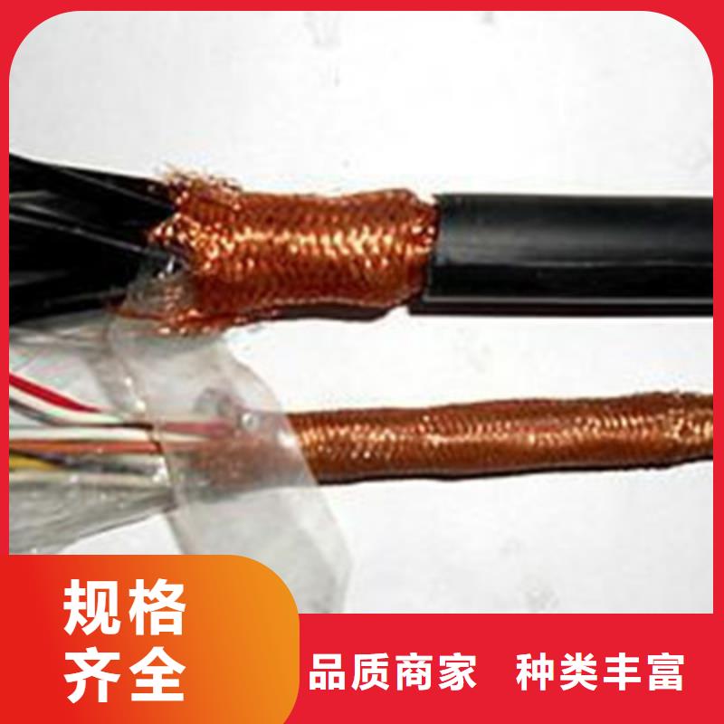耐高溫電纜電纜生產(chǎn)廠家一對(duì)一為您服務(wù)