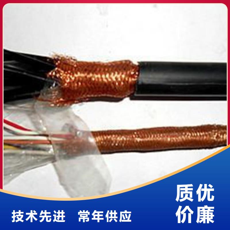 耐高溫電纜計算機(jī)電纜豐富的行業(yè)經(jīng)驗