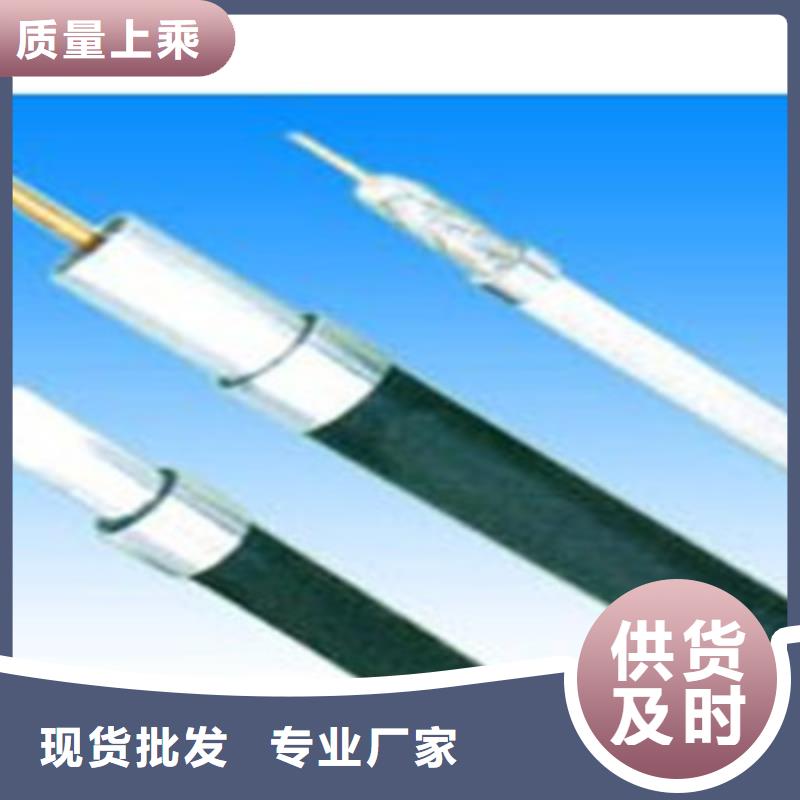 射頻同軸電纜,屏蔽電纜誠信經(jīng)營現(xiàn)貨現(xiàn)發(fā)