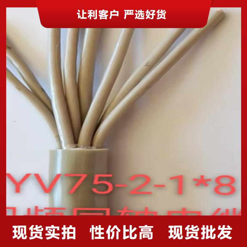 射頻同軸電纜屏蔽電纜出貨及時(shí)