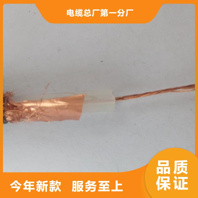 射頻同軸電纜,屏蔽電纜誠信經(jīng)營現(xiàn)貨現(xiàn)發(fā)