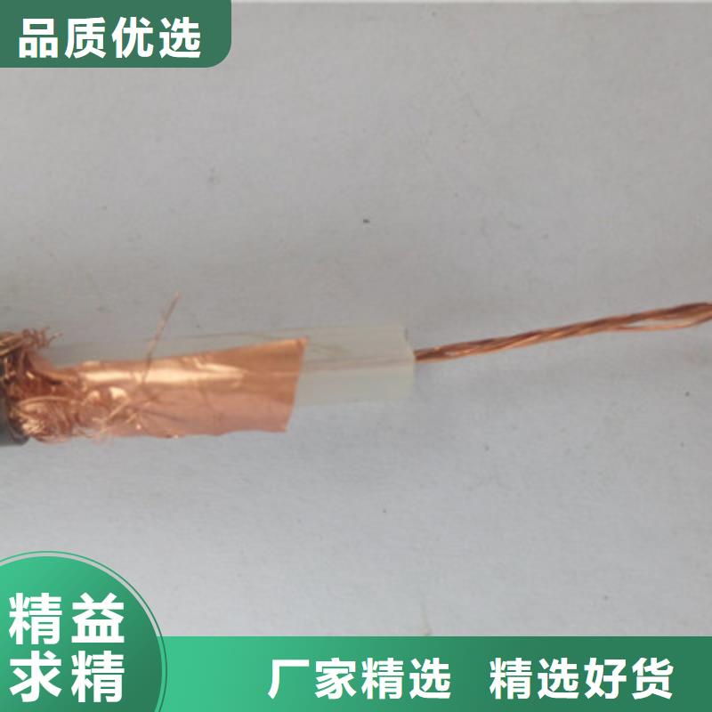 射頻同軸電纜,屏蔽電纜誠信經(jīng)營現(xiàn)貨現(xiàn)發(fā)
