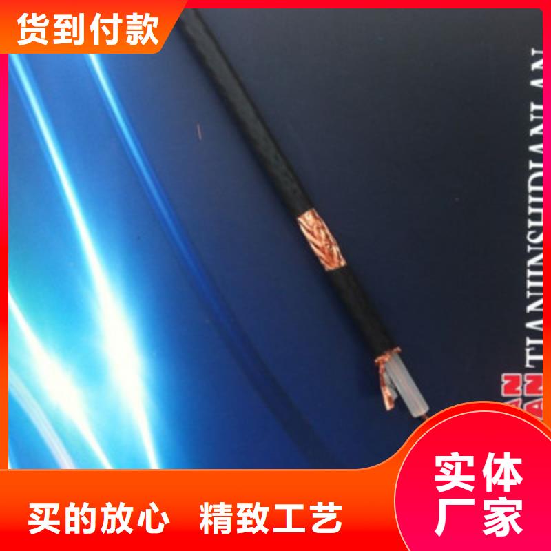 射頻同軸電纜,屏蔽電纜誠信經(jīng)營現(xiàn)貨現(xiàn)發(fā)