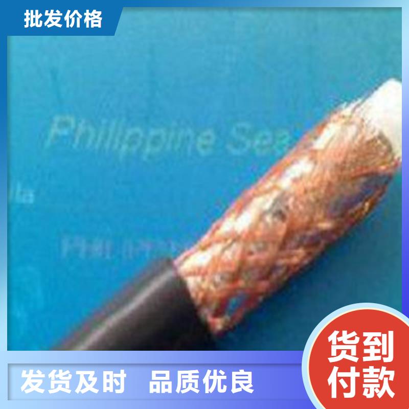 射頻同軸電纜,屏蔽電纜誠信經(jīng)營現(xiàn)貨現(xiàn)發(fā)