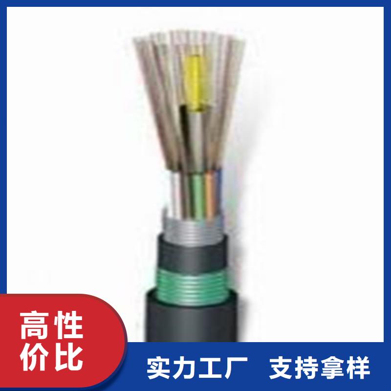 鐵路信號(hào)電纜,信號(hào)電纜實(shí)體廠家支持定制