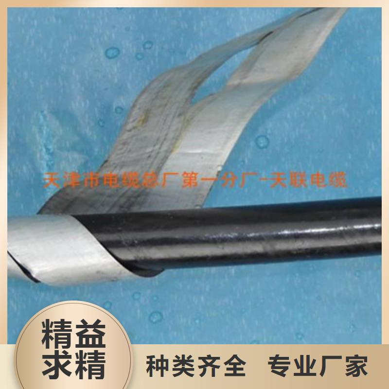 鐵路信號(hào)電纜屏蔽電纜品牌企業(yè)