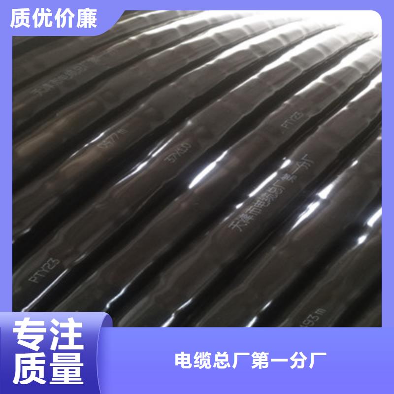 鐵路信號電纜本安防爆電纜貨品齊全