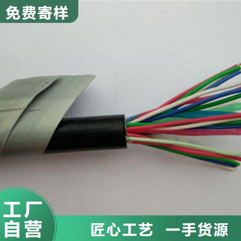 鐵路信號(hào)電纜,信號(hào)電纜實(shí)體廠家支持定制