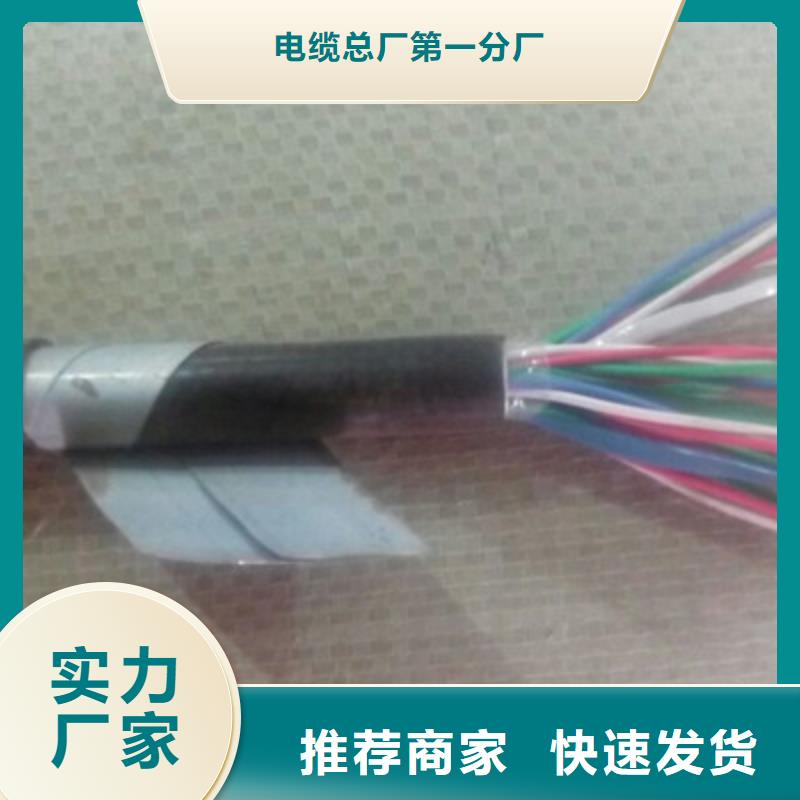 鐵路信號(hào)電纜屏蔽電纜品牌企業(yè)