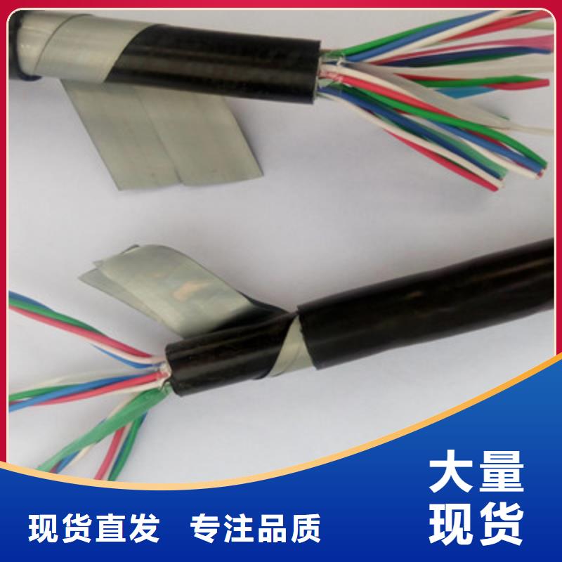 鐵路信號(hào)電纜,信號(hào)電纜實(shí)體廠家支持定制