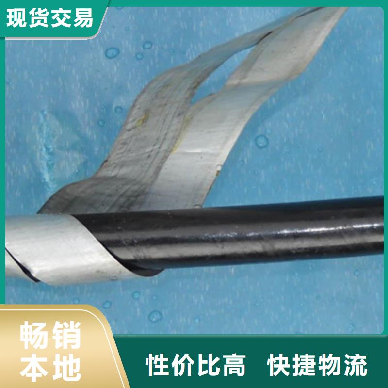 鐵路信號(hào)電纜信號(hào)電纜用心做好每一件產(chǎn)品