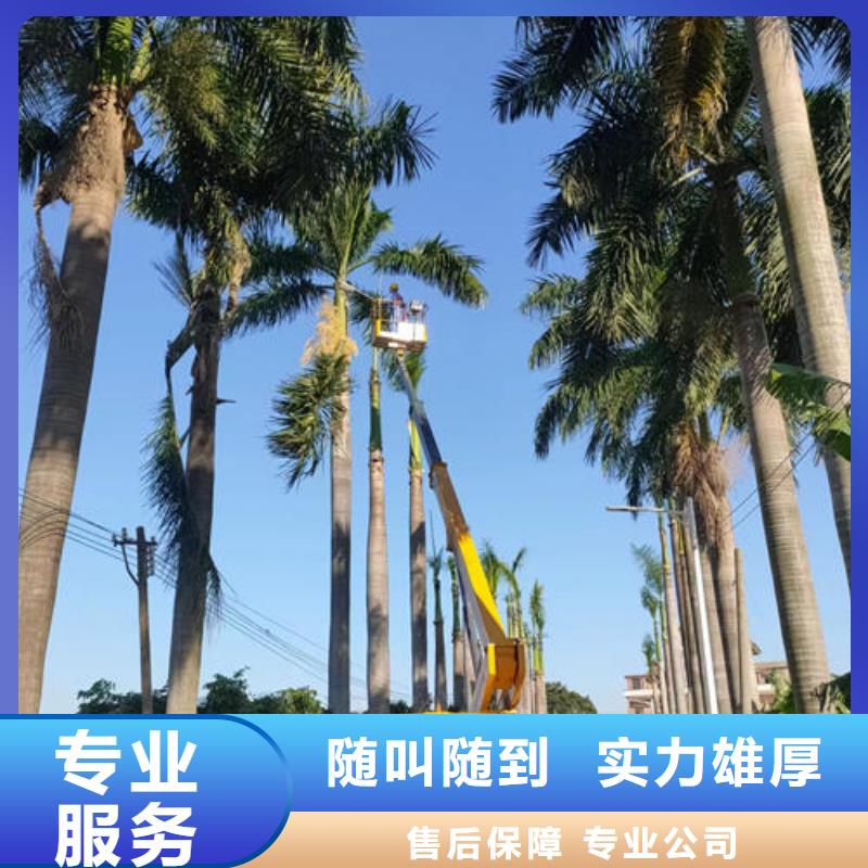升降平台车工作视频本地出租公司