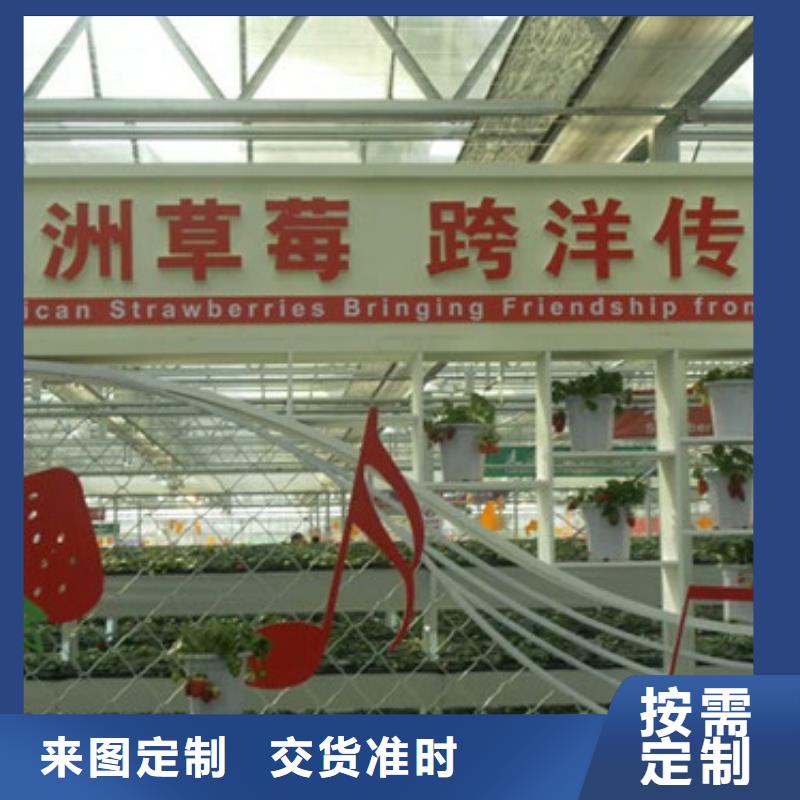 草莓苗-冬雪蜜桃樹苗全新升級品質保障