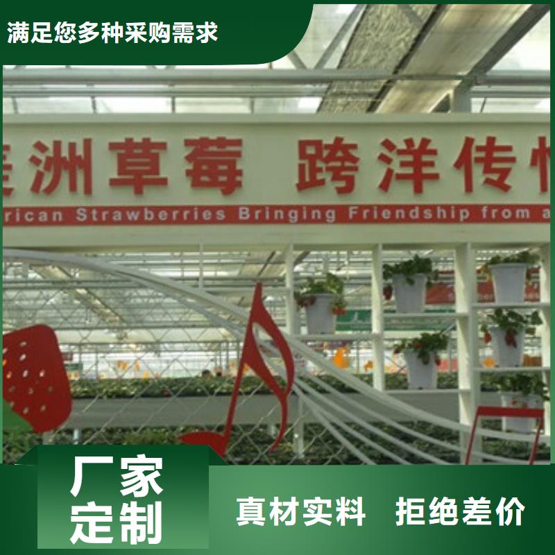 草莓苗,大棚草莓苗質(zhì)檢合格出廠