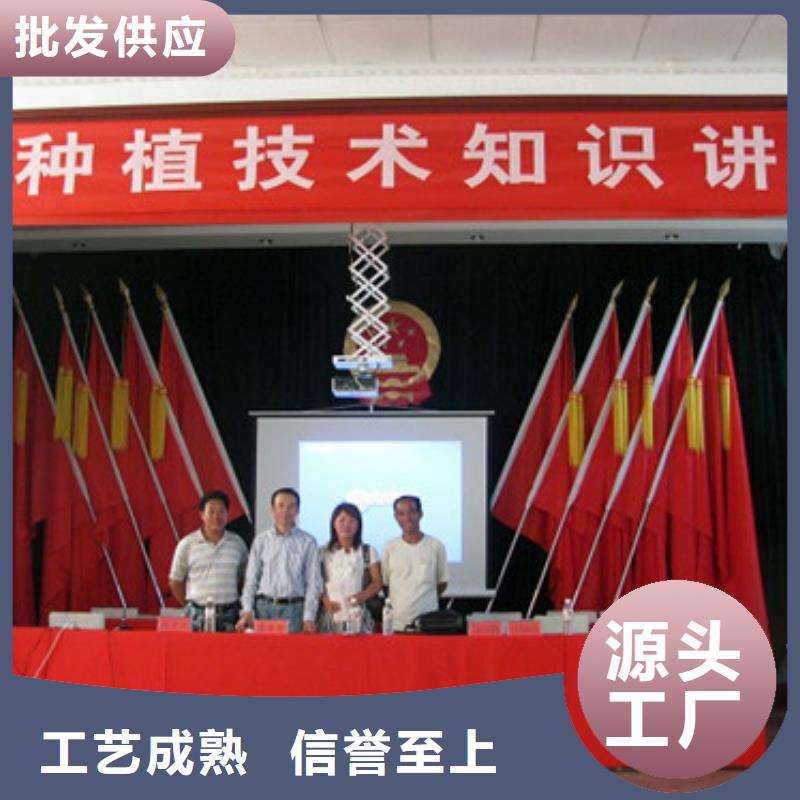 草莓苗 果树苗批发基地厂家技术完善