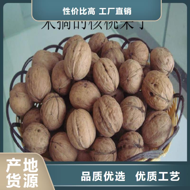 核桃苗-柱狀梨樹苗現(xiàn)貨直發(fā)