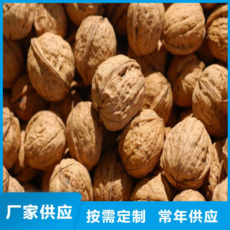 核桃苗毛蟠桃樹苗基地訂制批發(fā)