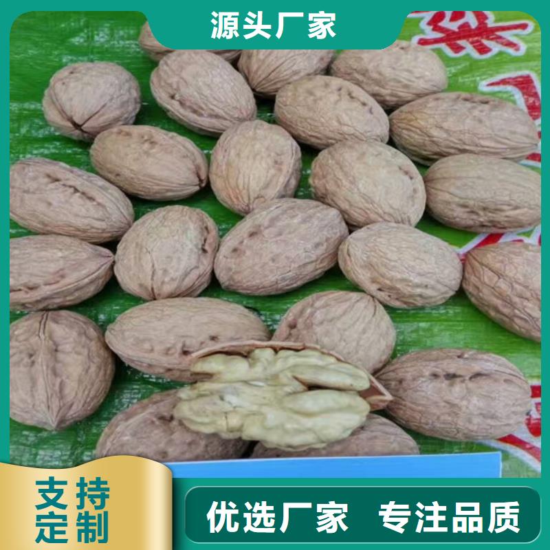 核桃苗_梨樹苗一對一為您服務