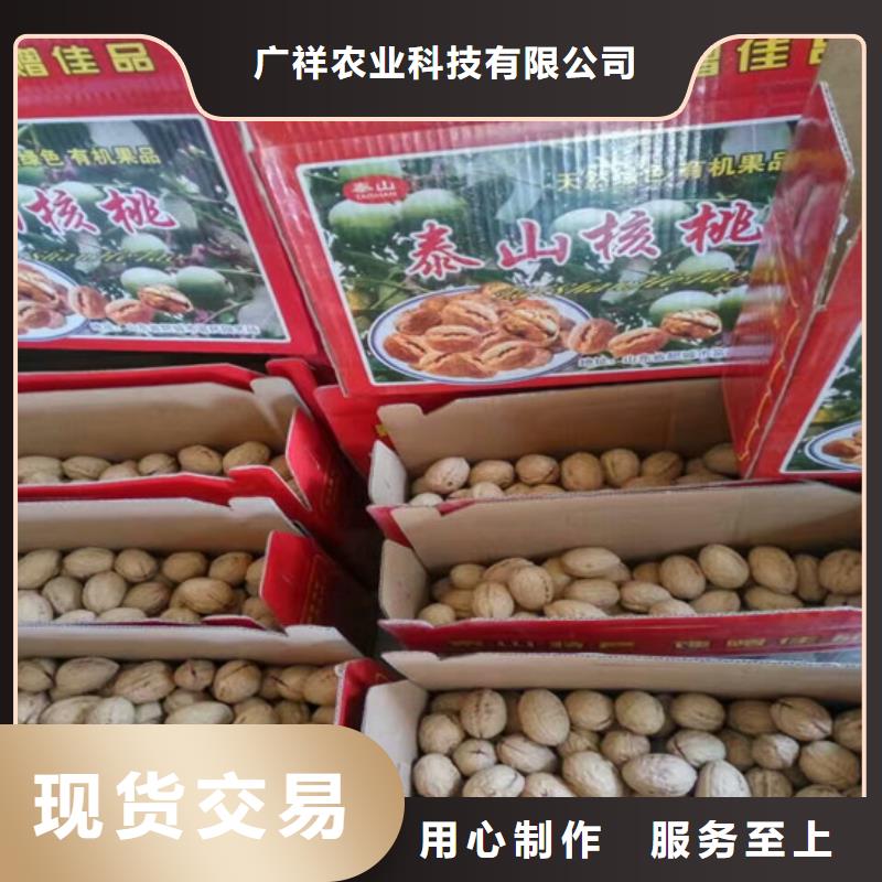 核桃苗-珍珠棗油桃樹苗海量現(xiàn)貨直銷