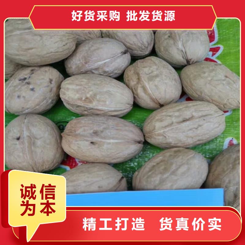 核桃苗_梨樹苗一對一為您服務