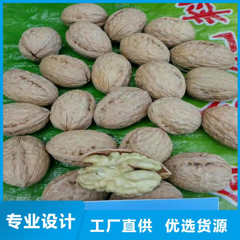 核桃苗櫻桃苗實(shí)體廠家