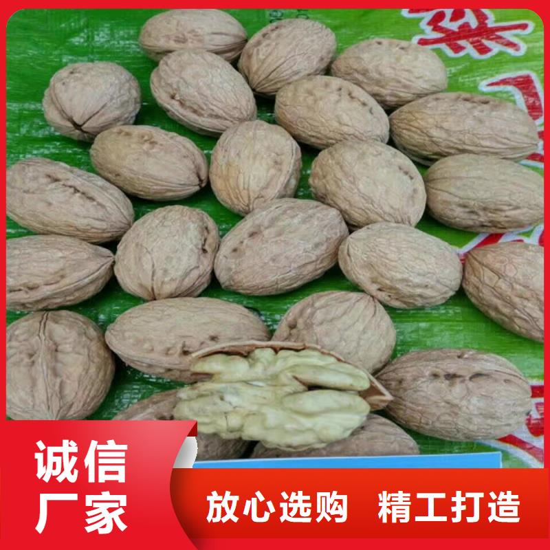 核桃苗徐香獼猴桃樹苗價(jià)格低