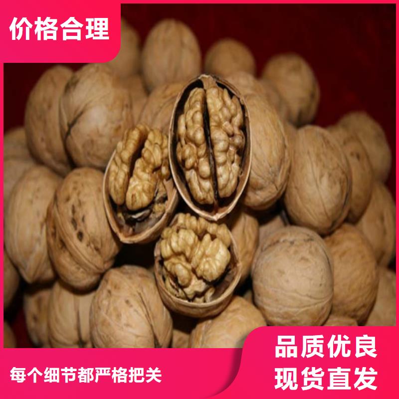 核桃苗無(wú)花果樹(shù)苗品質(zhì)服務(wù)
