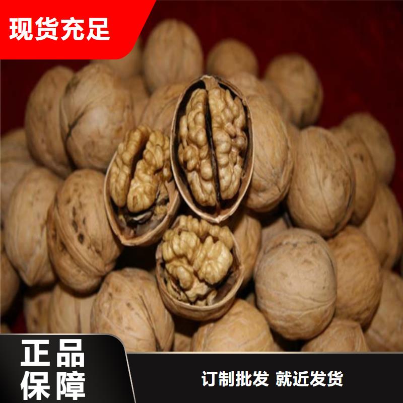 核桃苗大棚草莓苗生產(chǎn)安裝