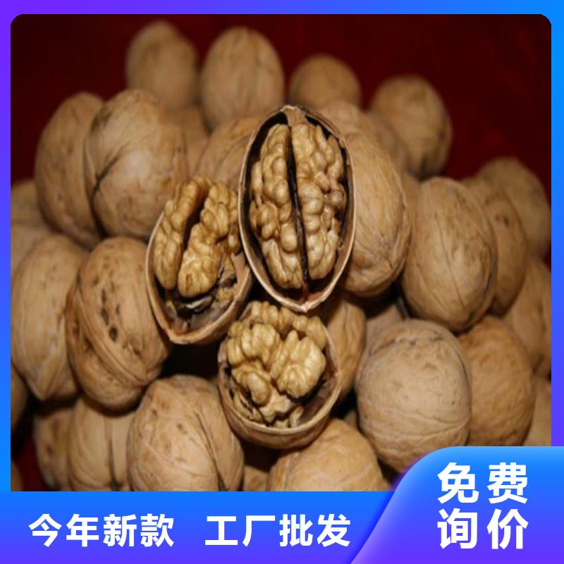 核桃苗蘋果苗產(chǎn)地直供