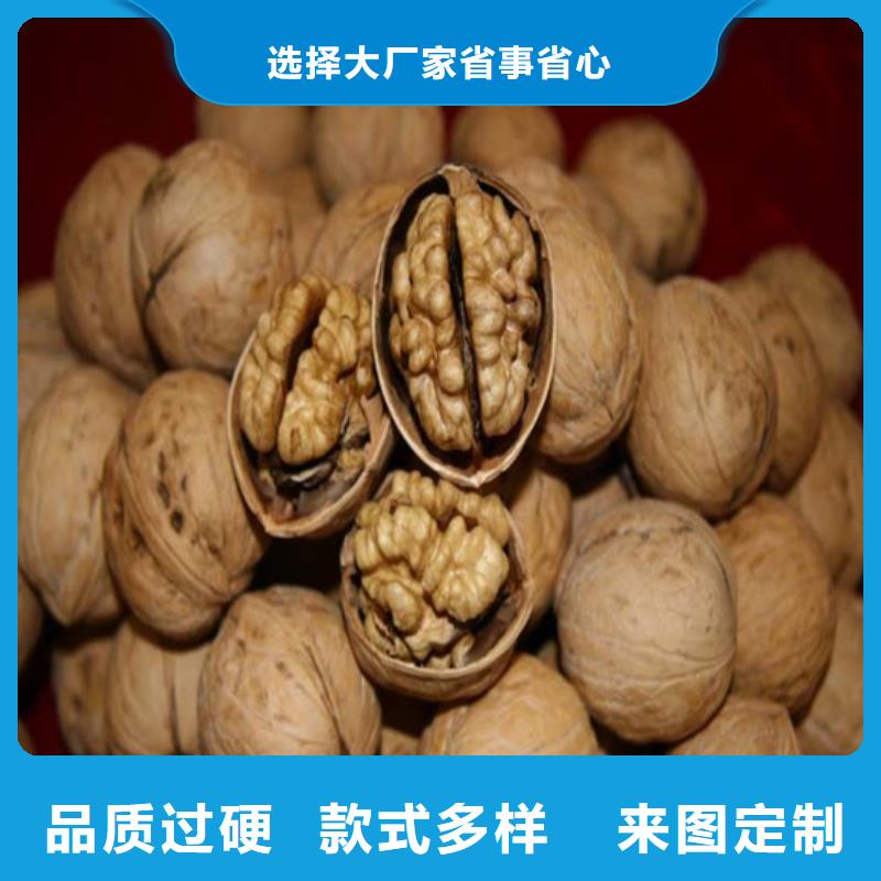 核桃苗板栗苗低價(jià)貨源
