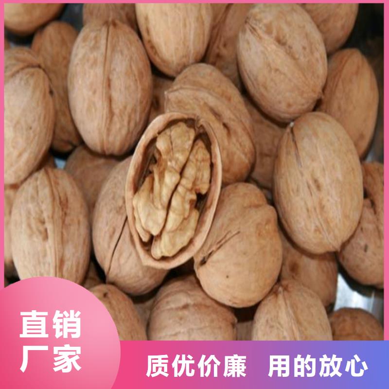 核桃苗-梨樹苗誠(chéng)信經(jīng)營(yíng)
