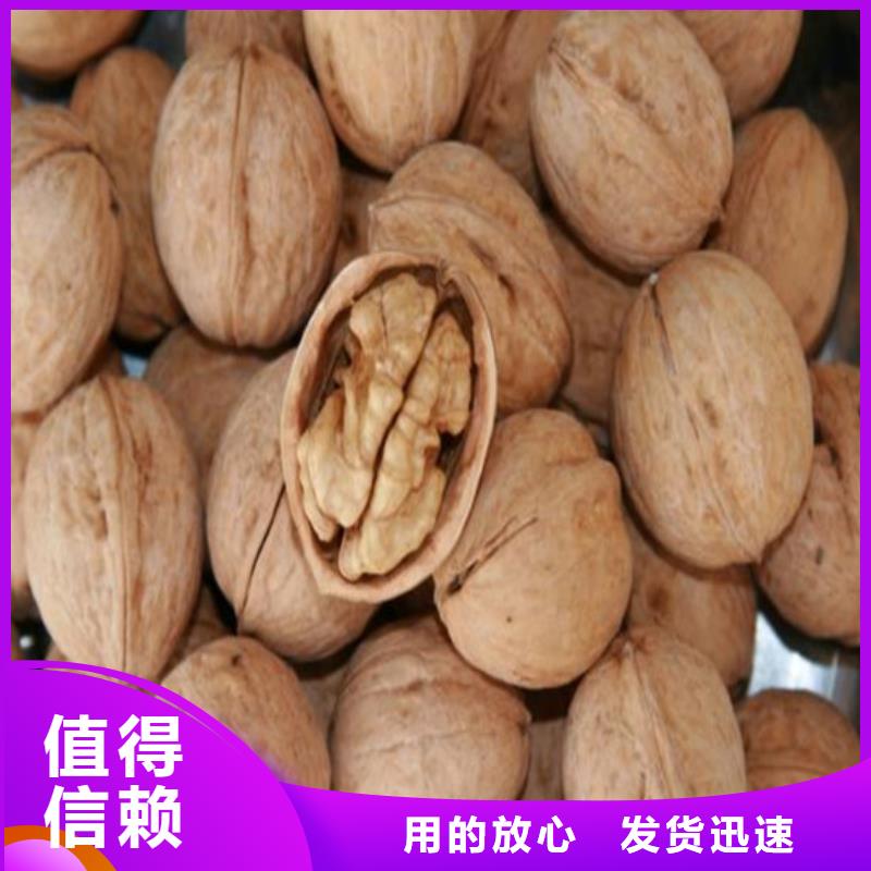 核桃苗吉塞拉6号砧木拥有多家成功案例