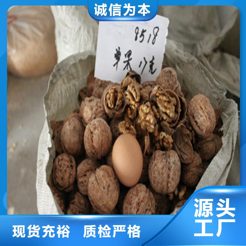 核桃苗_香椿树苗质保一年