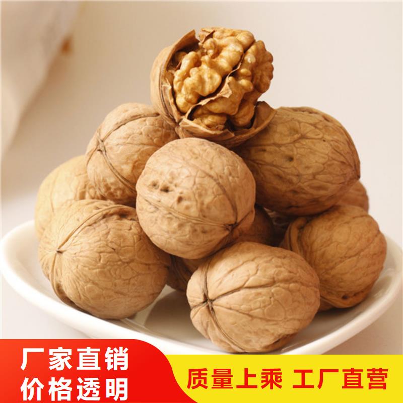核桃苗,果樹苗研發(fā)生產(chǎn)銷售