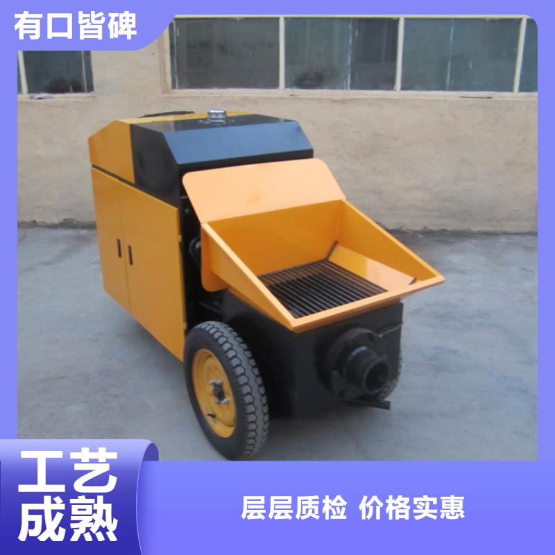 二次结构输送泵来图定制
