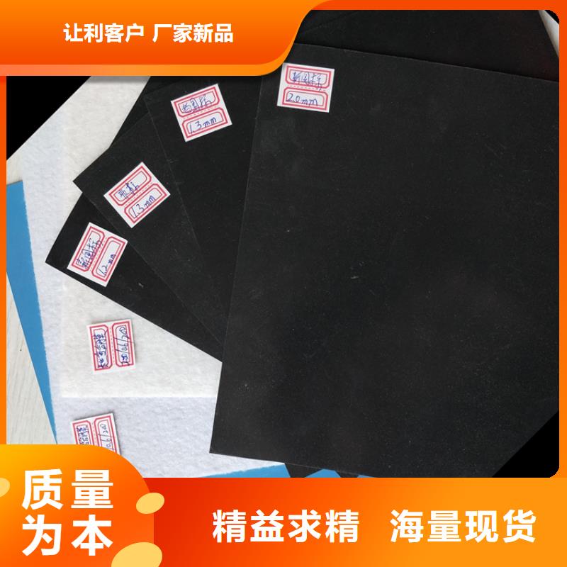 土工膜植草格廠家直銷大量現(xiàn)貨