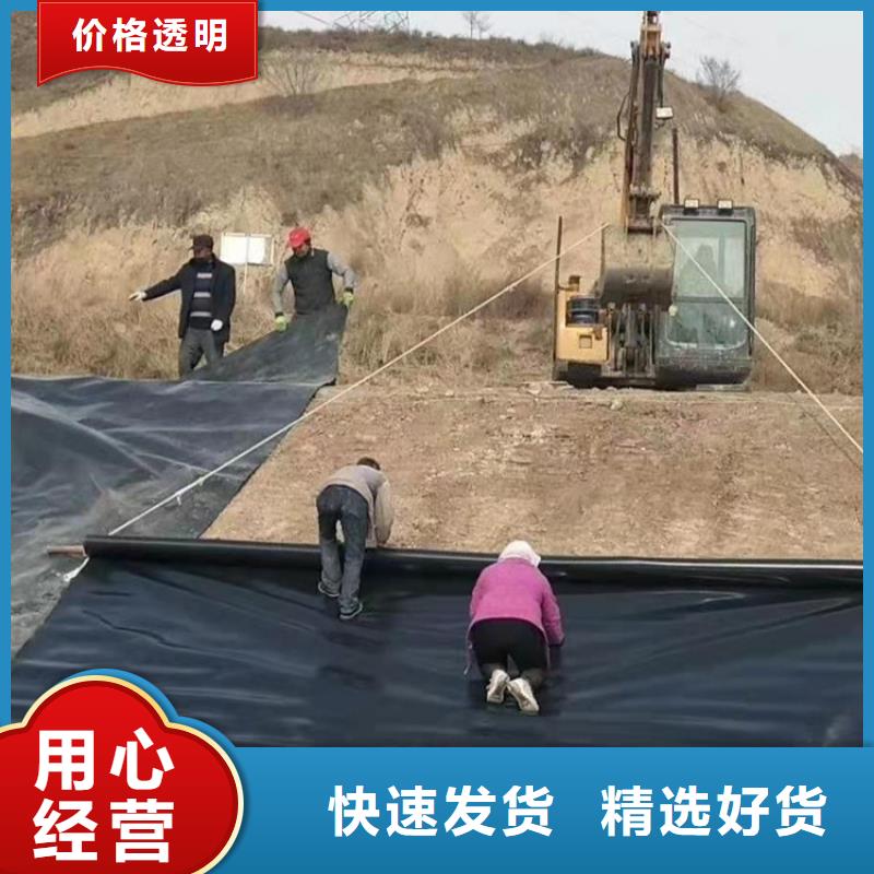 土工膜植草格廠家直銷大量現(xiàn)貨