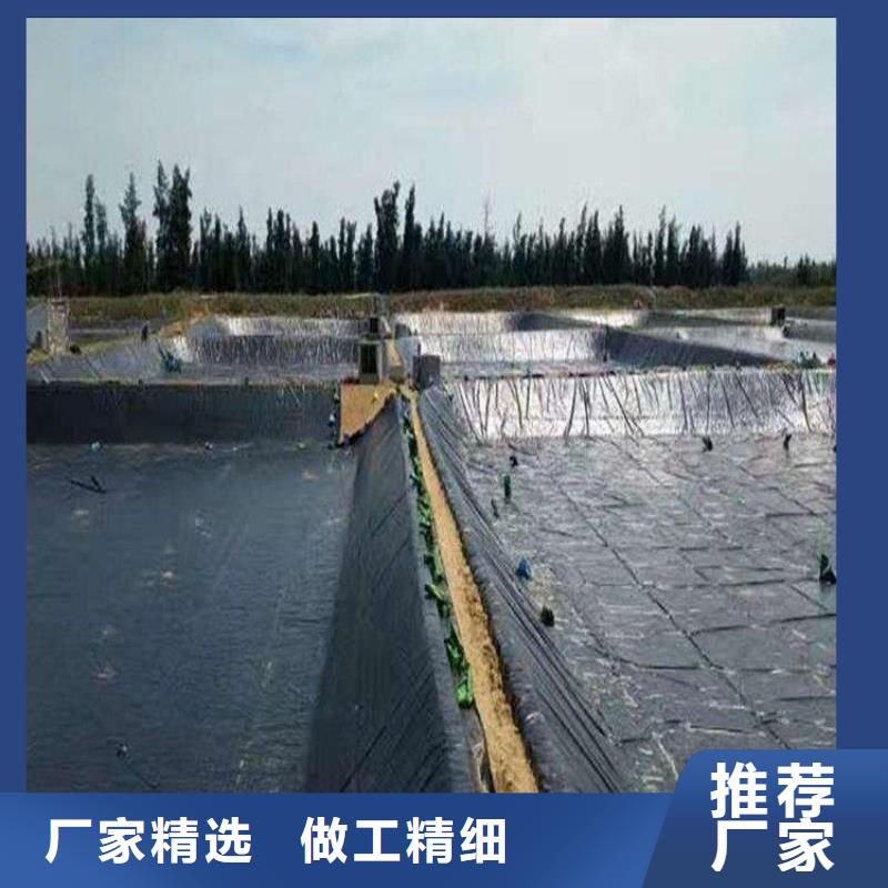 土工膜-防滲膜定制零售批發(fā)