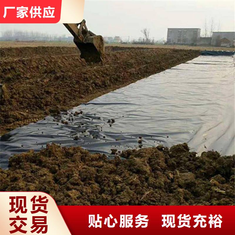 土工膜植草格廠家直銷大量現(xiàn)貨
